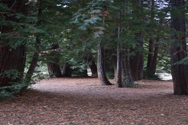 Foothills Nature Preserve