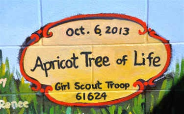 Alternate image of Apricot Tree of Life, Morgan Bricca