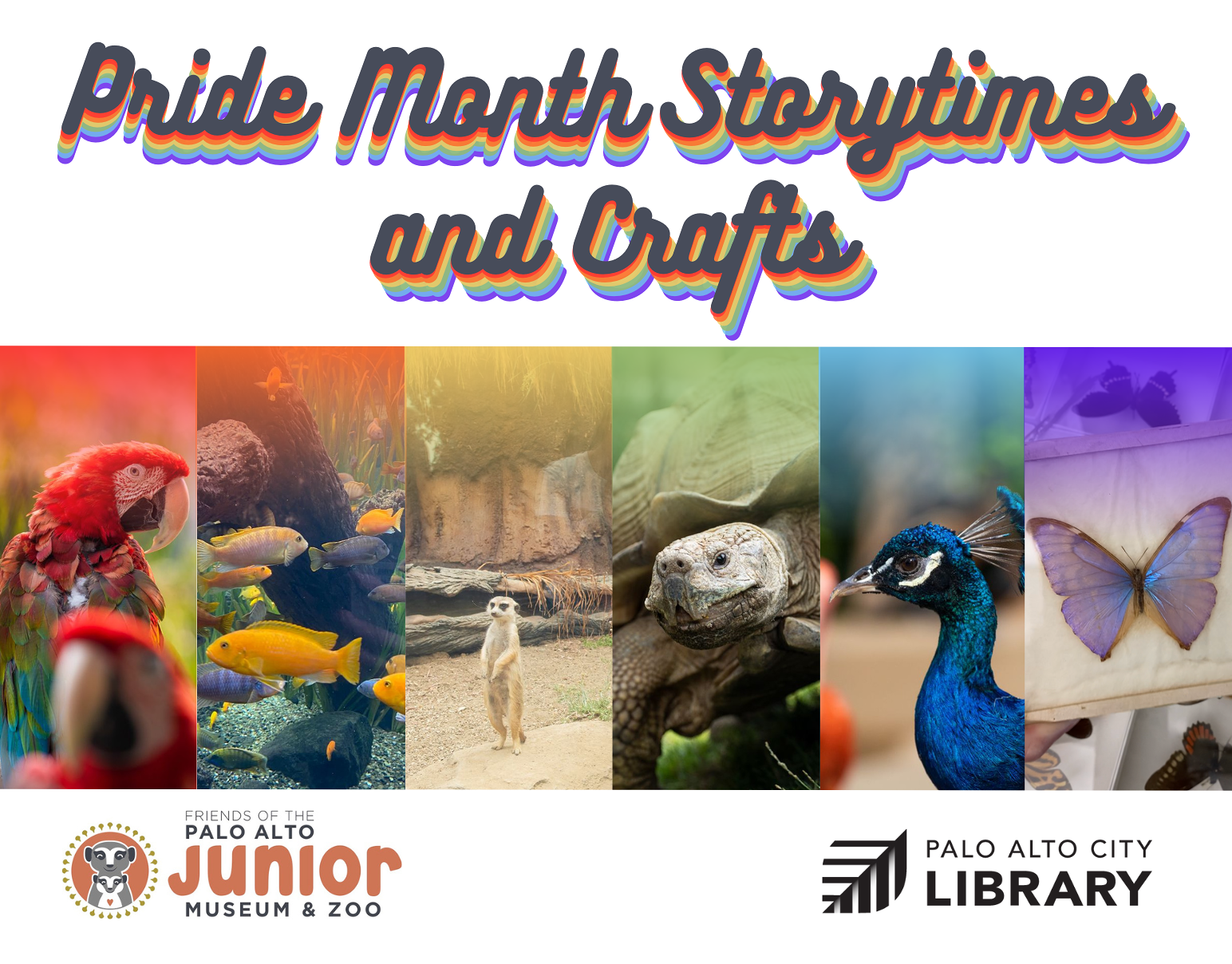 JMZ Pride Month Storytimes