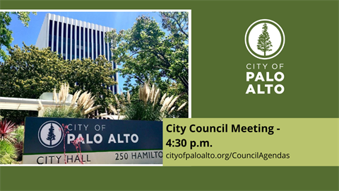 City Council 430.png
