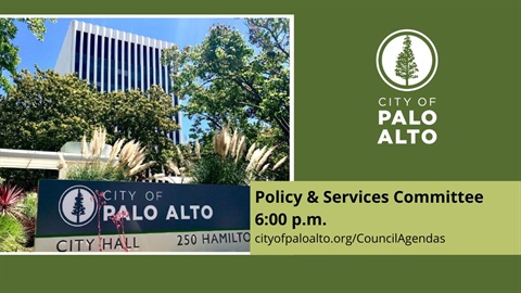 Policy and Services 6pm.jpg