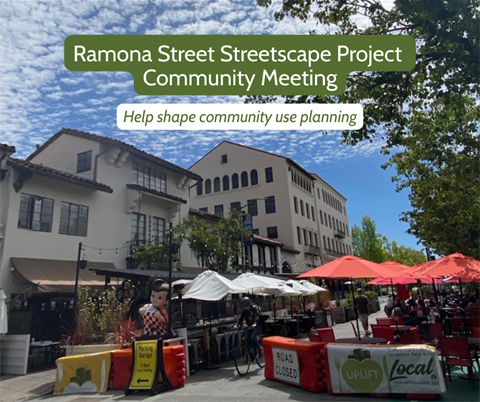 Ramona Street Streetscape Project Community Workshop (1).png