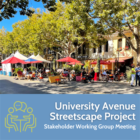 University-Ave-Streetscape-Project-Meeting.png
