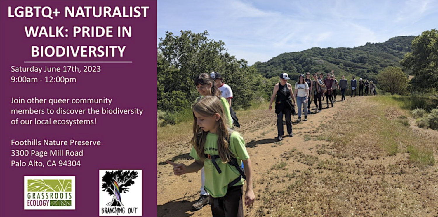 LGBTQ+ Naturalist Walk: Pride in Biodiversity