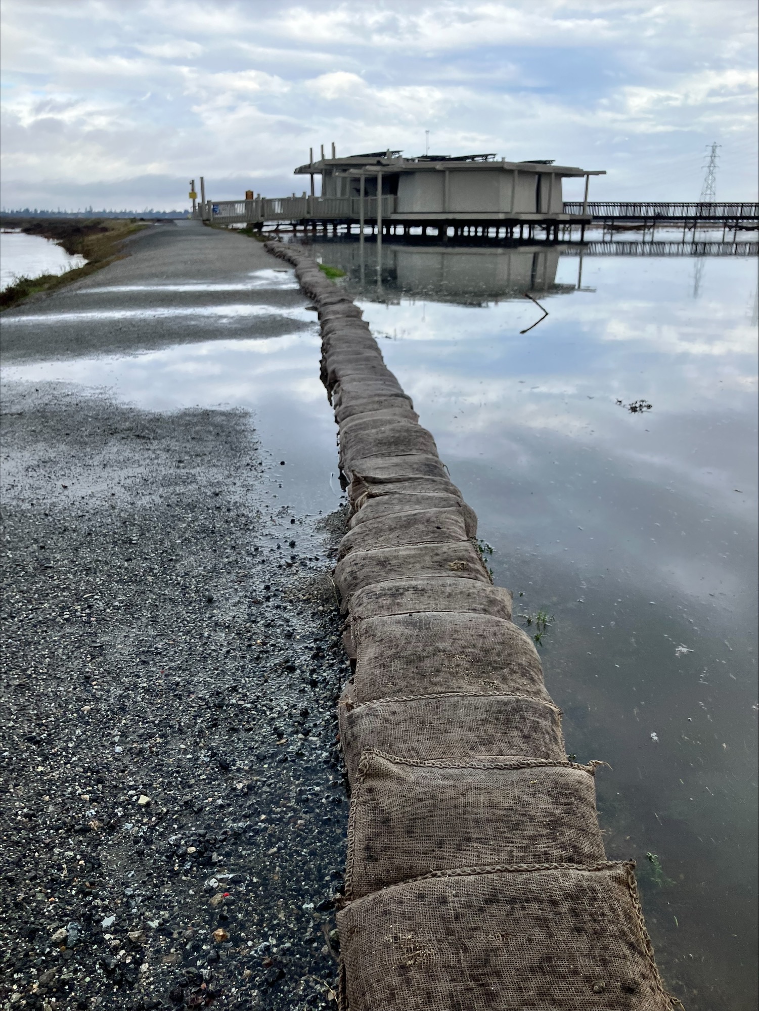 baylands 1.2026.jpeg