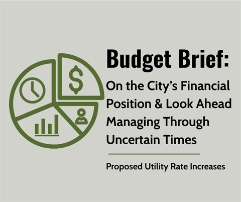 City Budget Brief On the City’s Financial Position & Look Ahead Managing Through Uncertain Times.png
