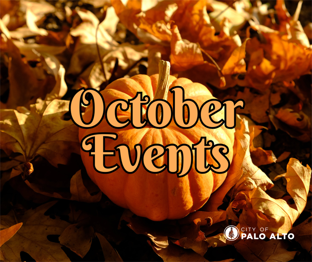 Festive October Fun In Palo Alto City Of Palo Alto CA festive-october-fun-in-palo-alto-city-of-palo-alto-ca