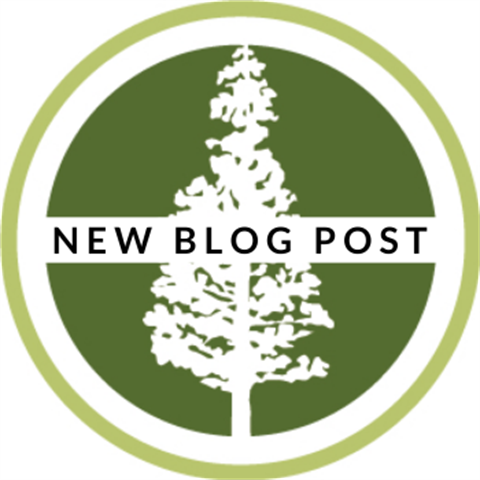 blog post_WEB.png
