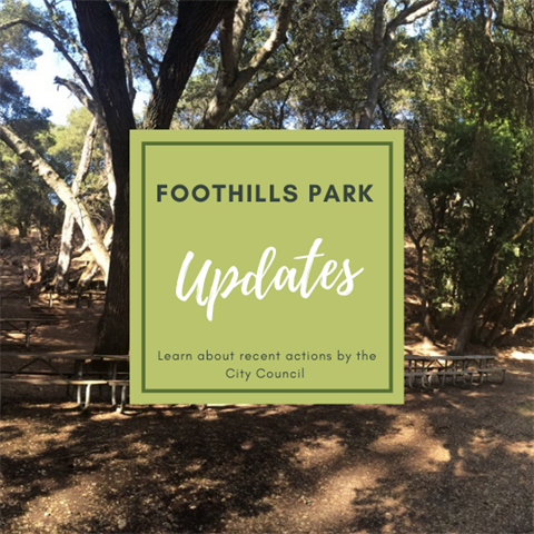 Foothills Park City Council Updates February 2021