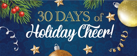 30 Days of Holiday Cheer Banner that includes garland, ornaments, stars, and other festive elements