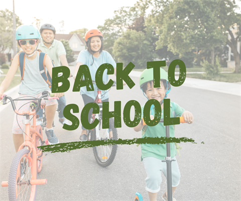 Back to School News Article