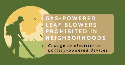 leaf blower web  (2).png