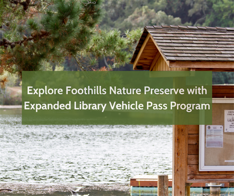 foothills park 3.jpg