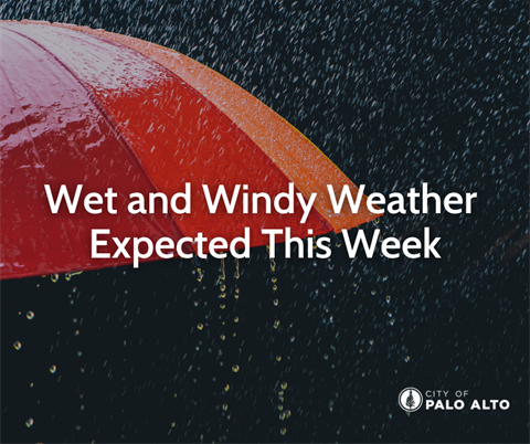Wet and Windy Weather Expected