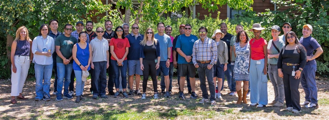 IT staff
