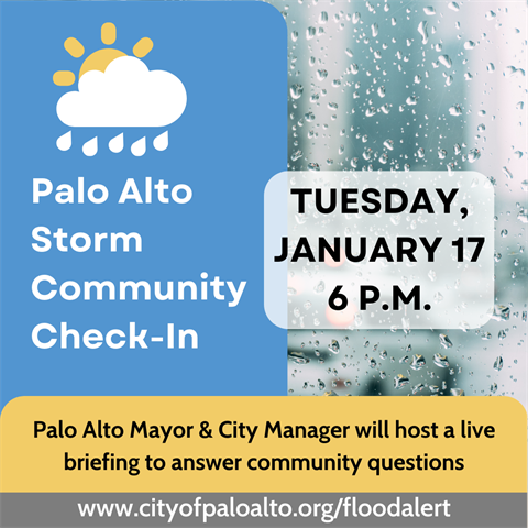Palo Alto Storm Community Check-In (3).png