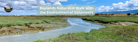 Baylands Naturalist Walk with the Environmental Volunteers