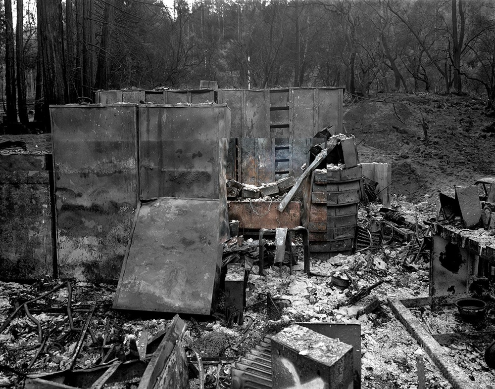 Domestic Monumentality, Adrienne Defendi