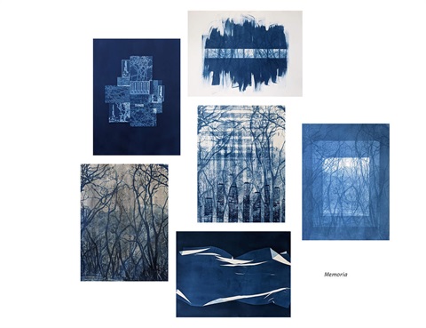 Cyanotype printing with Cubberley Artist Adrienne Defendi