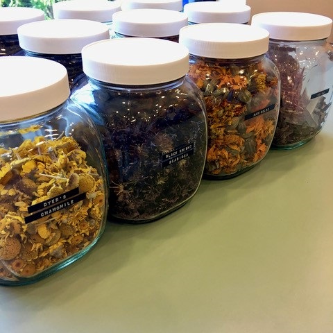 natural dye workshop with jaya griscom