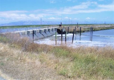 Tide Gate Structure.JPG