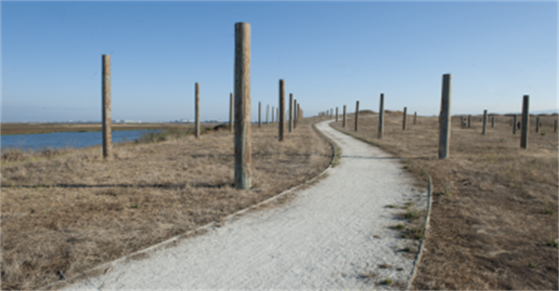 Image of The Pole Field; Chevrons; Wind Wave, Peter Richards and Michael Oppenheimer
