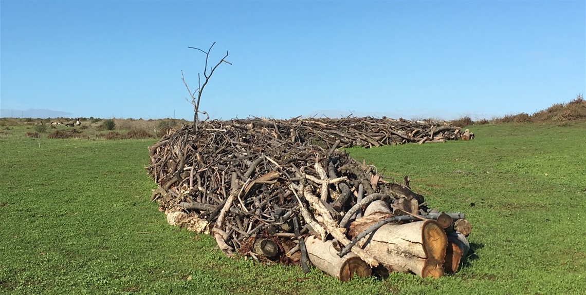Foraging Island by Watershed Sculpture
