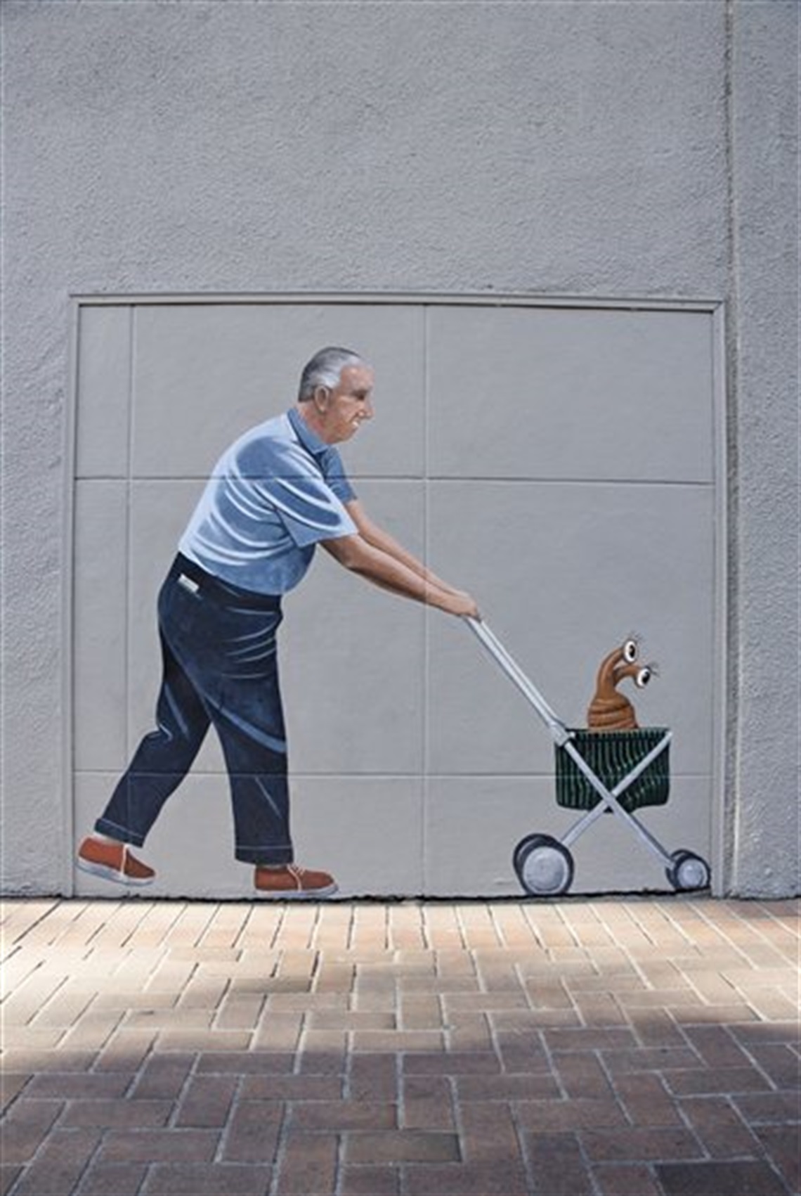 Image of Man Pushing Cat in Stroller, Greg Brown