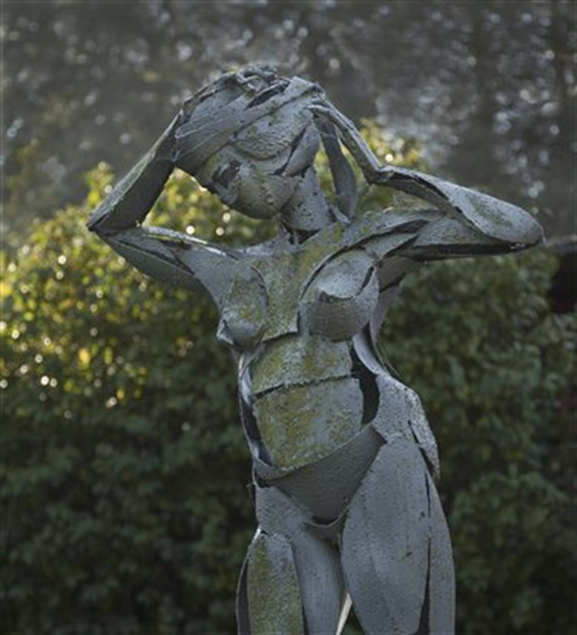 Image of Nude in Steel, Hans Wehrli
