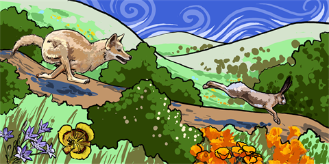 Coyote Jackrabbit Mural