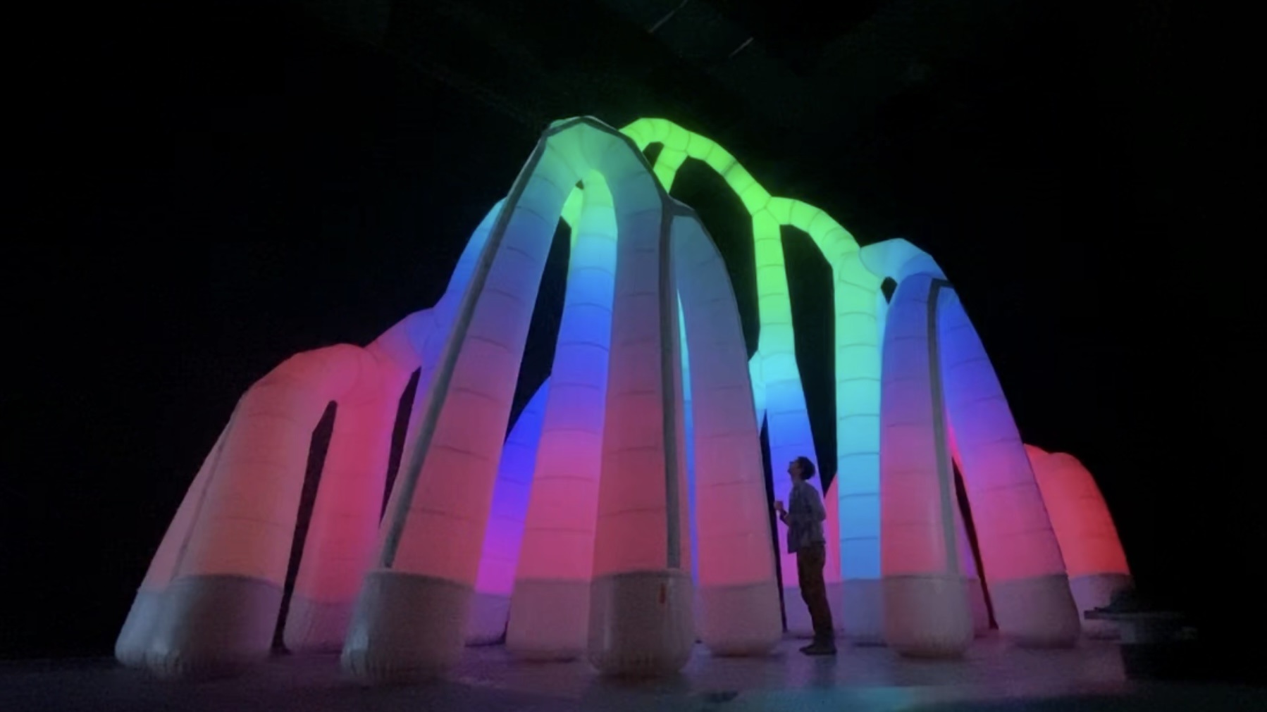 grove by pneuhaus multicolor