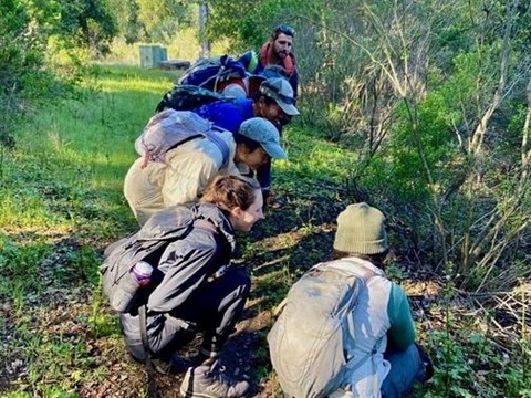 group of adults observing nature