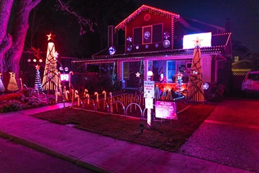 Holiday contest photo