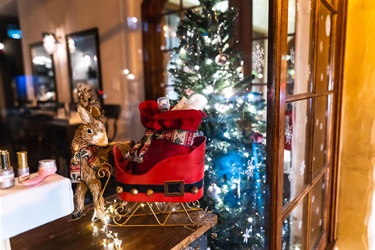 Holiday contest photo