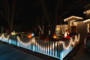 Holiday contest photo