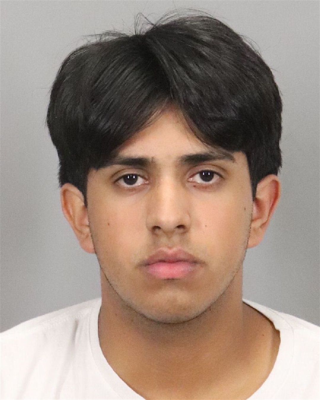 Police Arrest Suspect Following Road Rage Incident – City of Palo Alto, CA