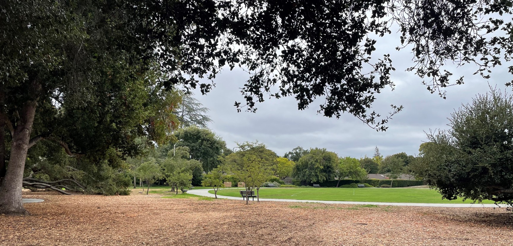 Eleanor Pardee Park Photo
