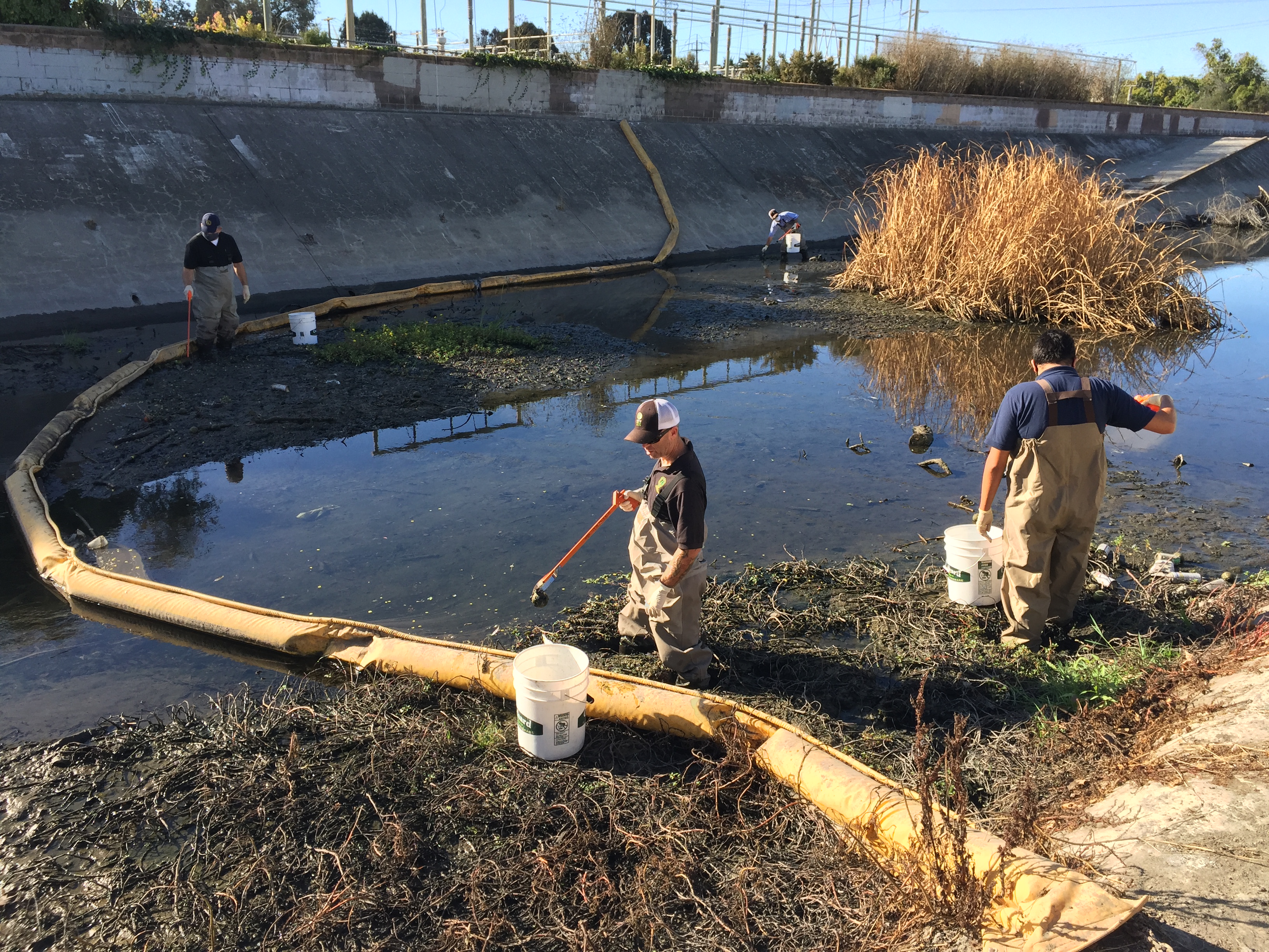 City staff picking up trash behind trash boom in creek.