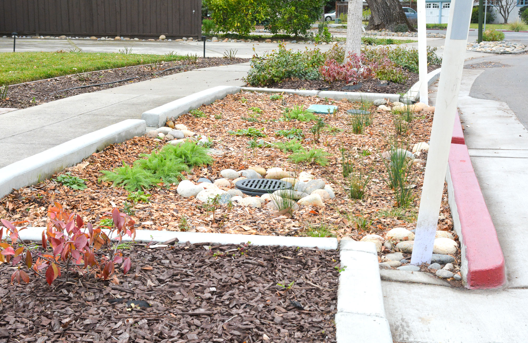 Biorention area with drought tolerant plants.