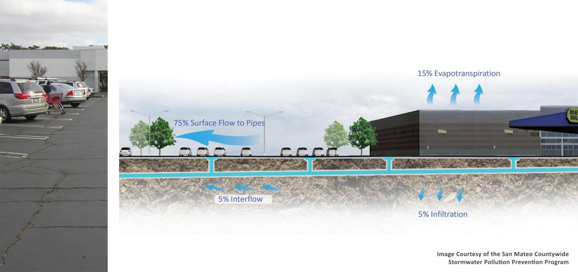 Urban Development with impervious surfaces disrupt the natural water cycle. These surfaces increase surface flow to our drainage system.