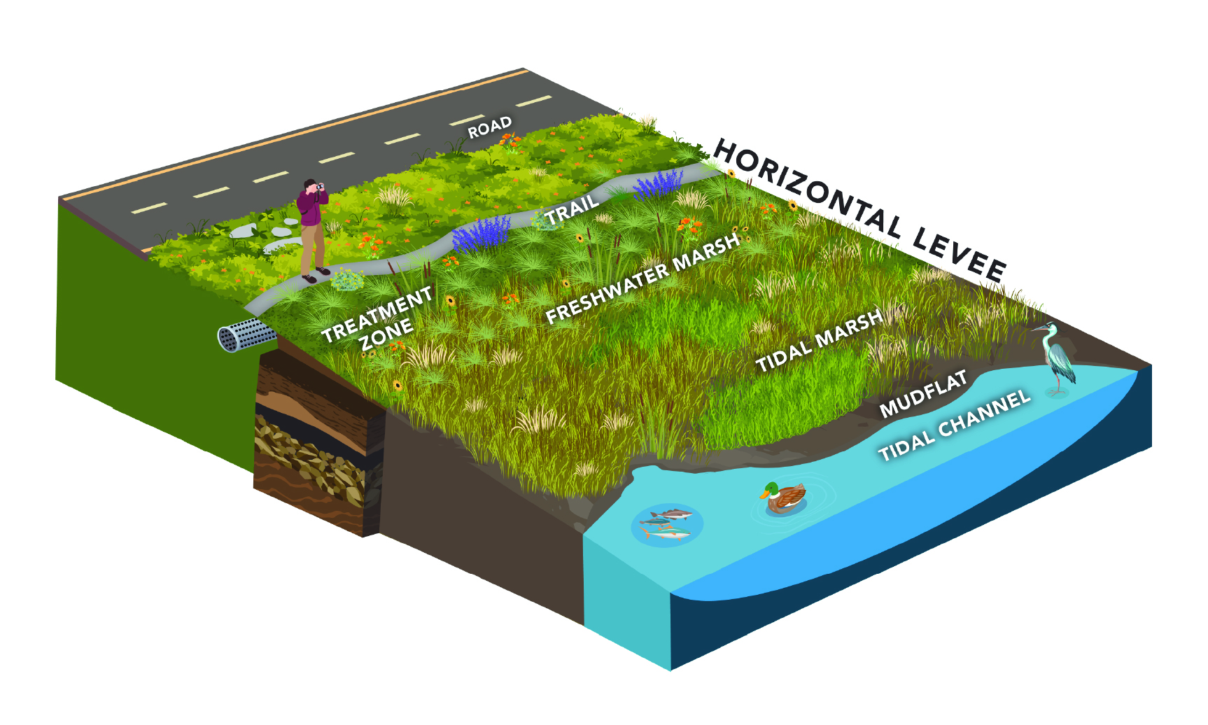 Horizontal Levee Diagram