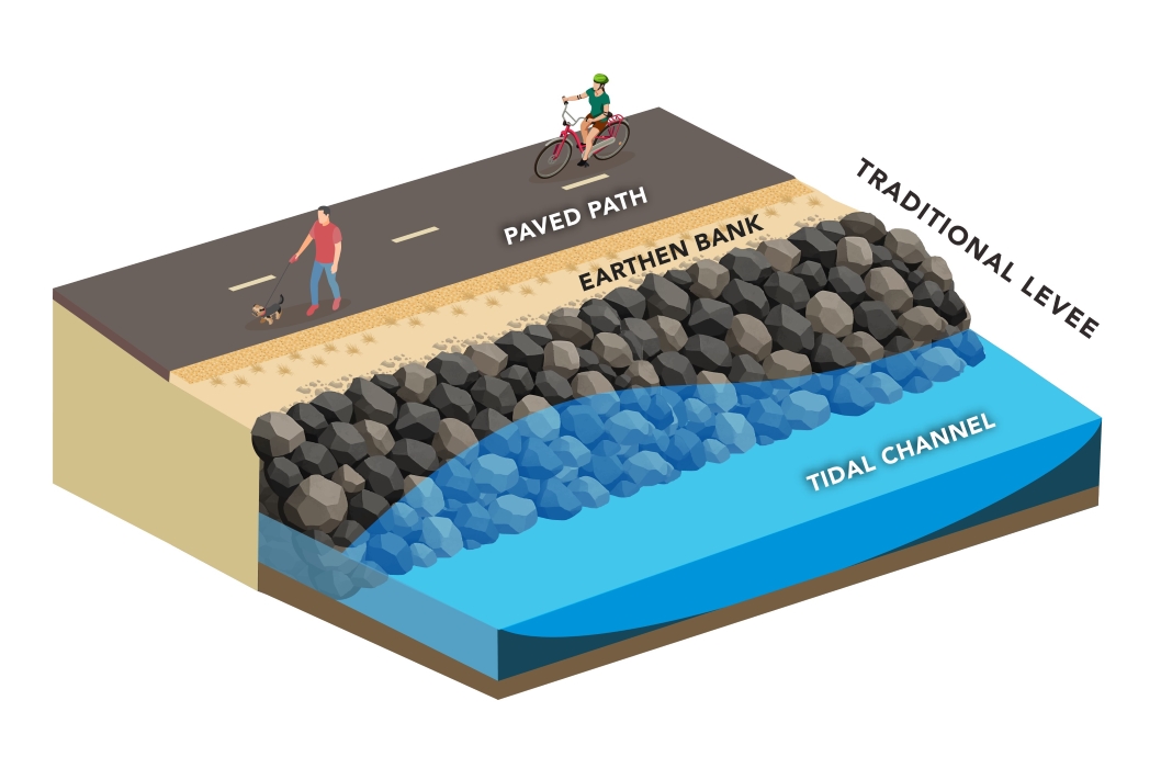 Traditional Levee Diagram