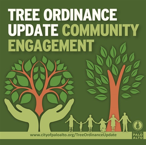 tree-ordinance_social_media-instagram.jpg