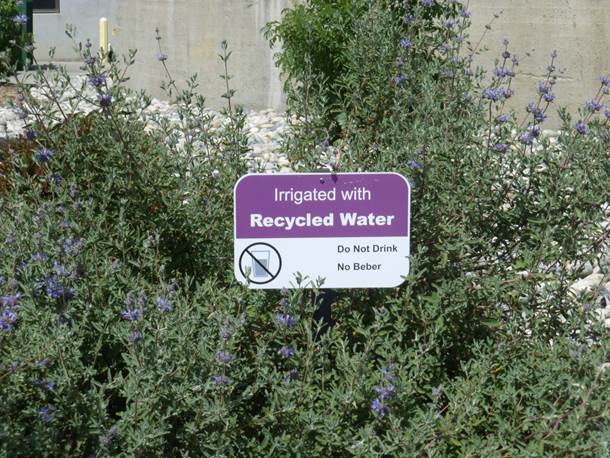 Irrigated with recycled water sign