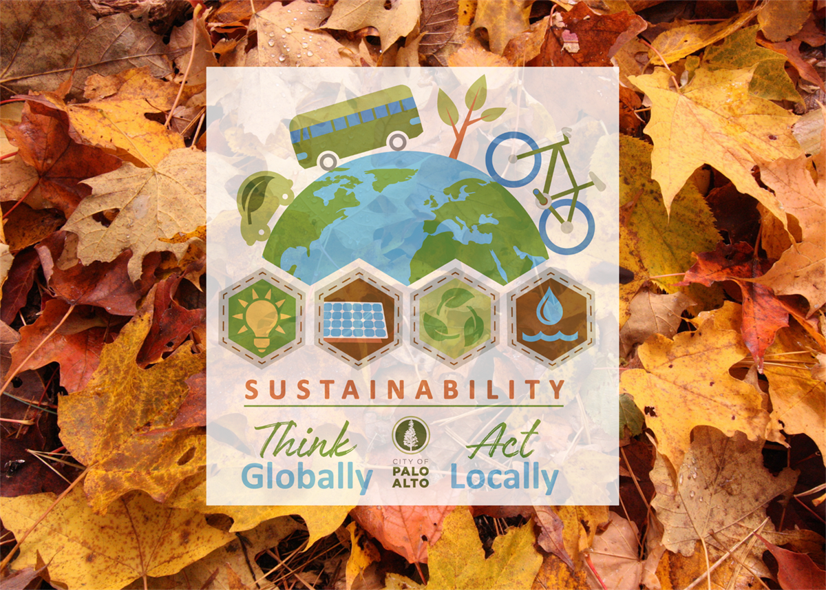 Climate Action Blog: Give Thanks, Help the Planet! – City of Palo Alto, CA
