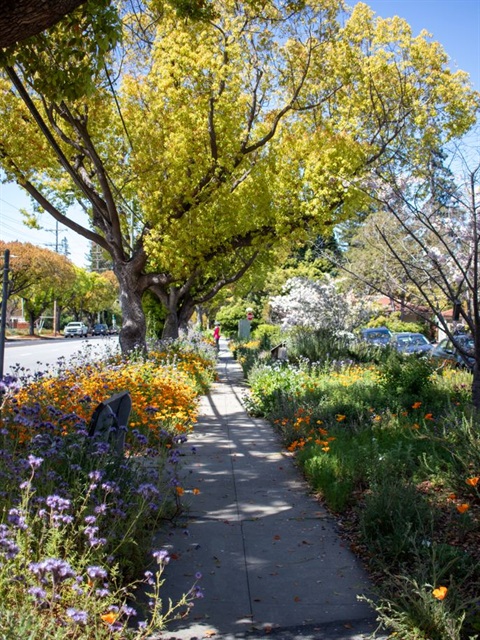 pollinator tour image