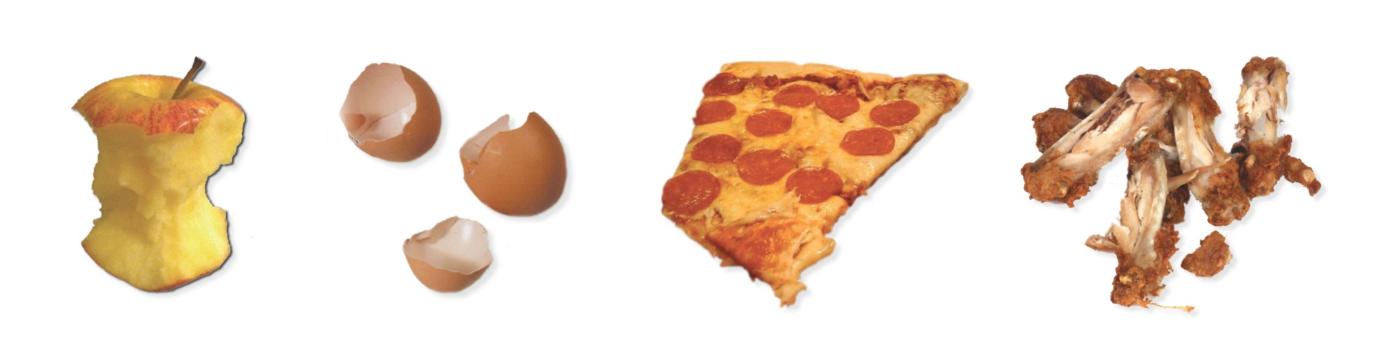 apple core, egg shells, uneaten food, bones