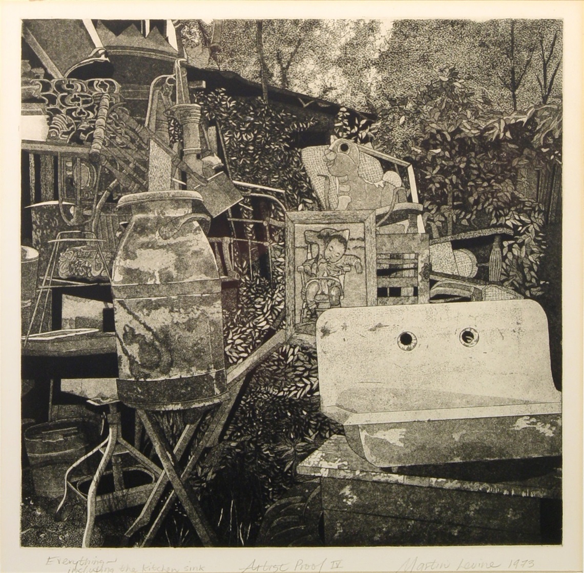Image of Everything, Including the Kitchen Sink, Martin Levine