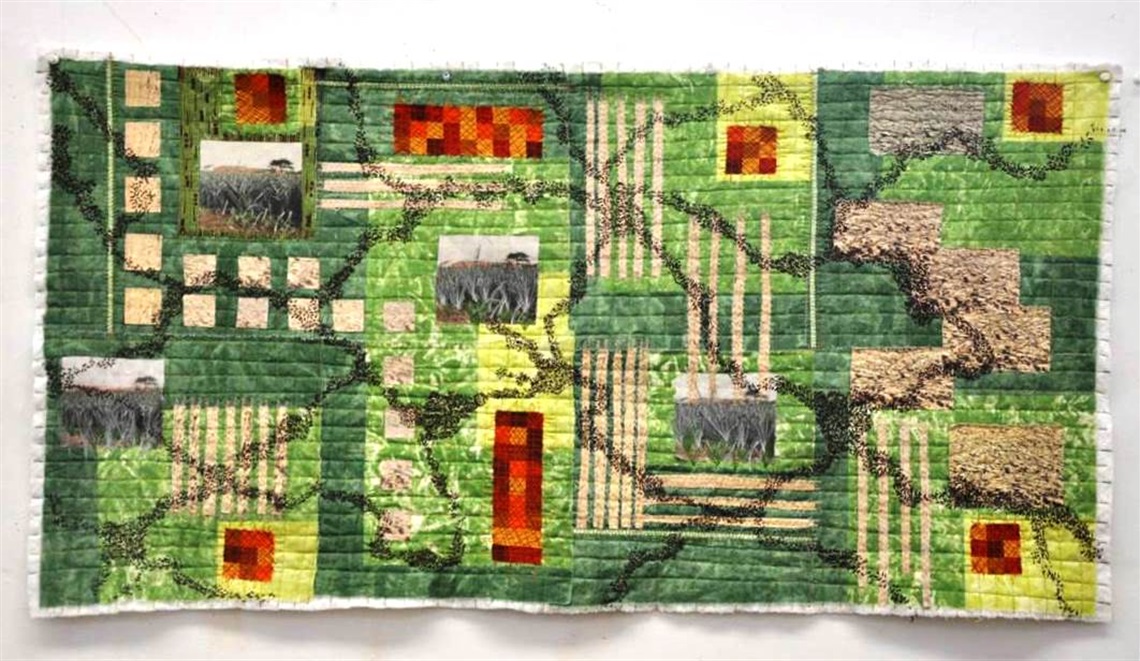 Image of Drought, Lois Anderson