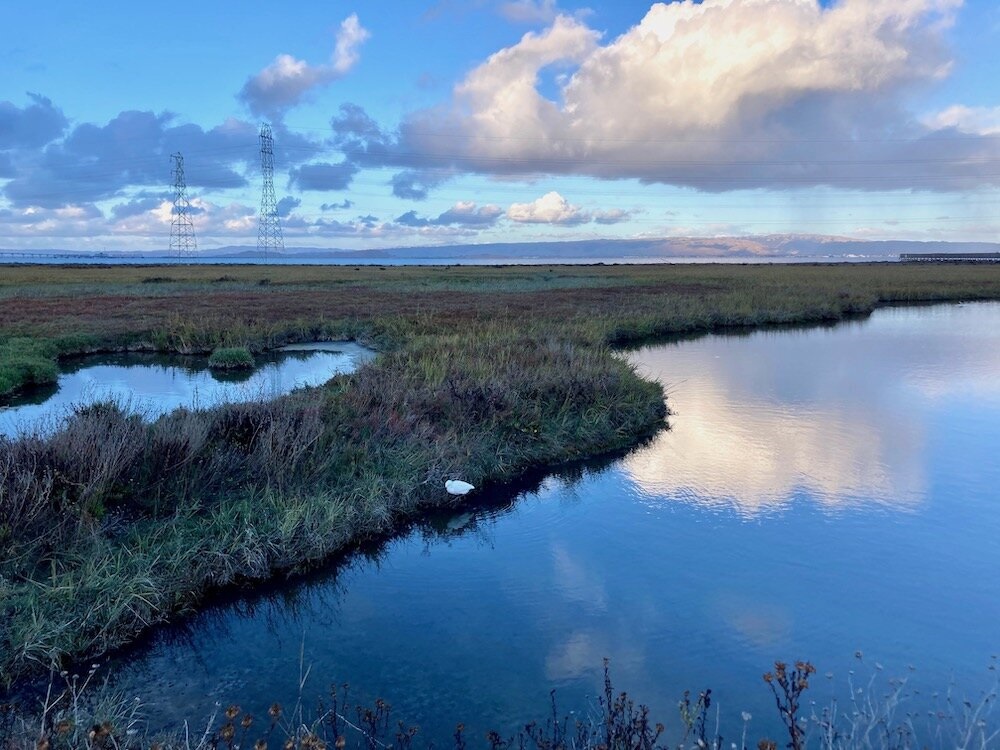 Changing Shorelines.jpeg